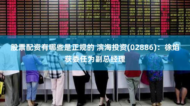 股票配资有哪些是正规的 滨海投资(02886)：徐焰获委任为副总经理