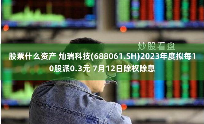 股票什么资产 灿瑞科技(688061.SH)2023年度拟每10股派0.3元 7月12日除权除息