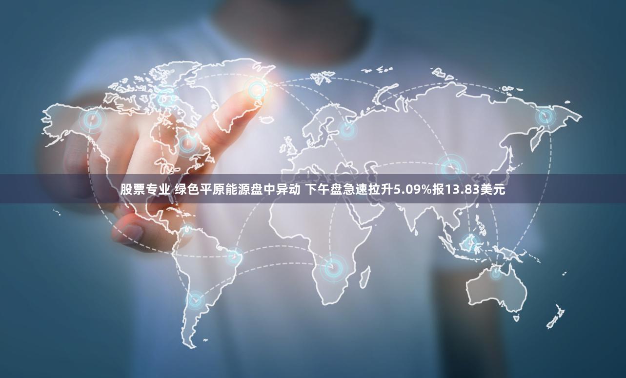 股票专业 绿色平原能源盘中异动 下午盘急速拉升5.09%报13.83美元