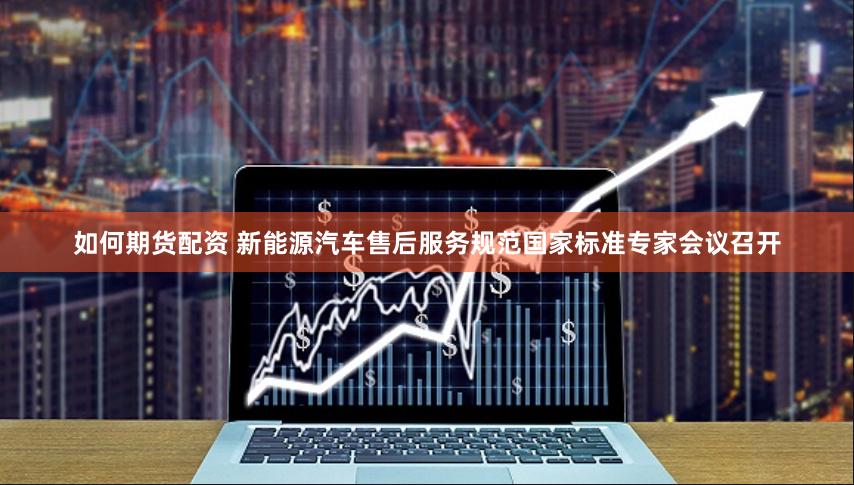 如何期货配资 新能源汽车售后服务规范国家标准专家会议召开