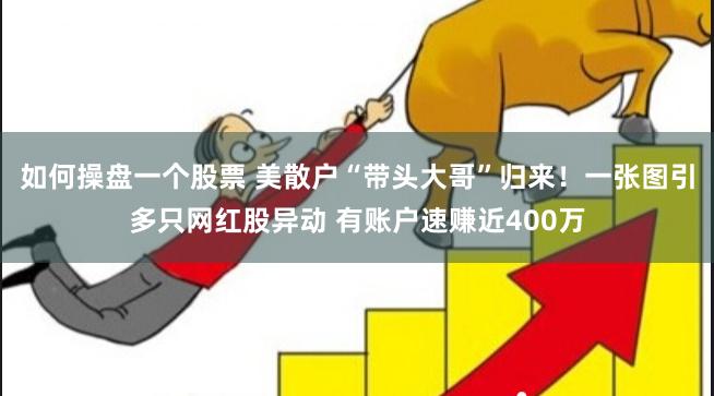 如何操盘一个股票 美散户“带头大哥”归来！一张图引多只网红股异动 有账户速赚近400万